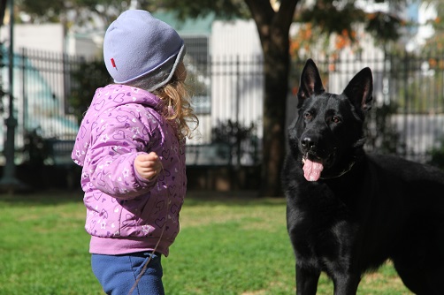 צילום: גיל לוין