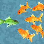 אילוף והתנהגות